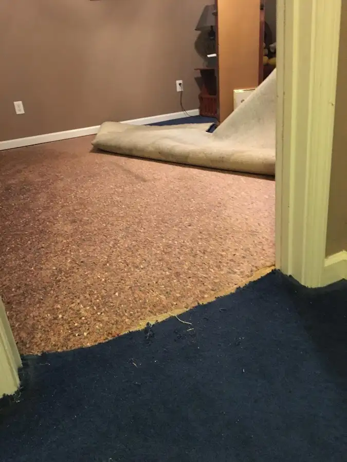 Carpet pad removal revealing water damage during Water Mitigation Services in Bealeton
