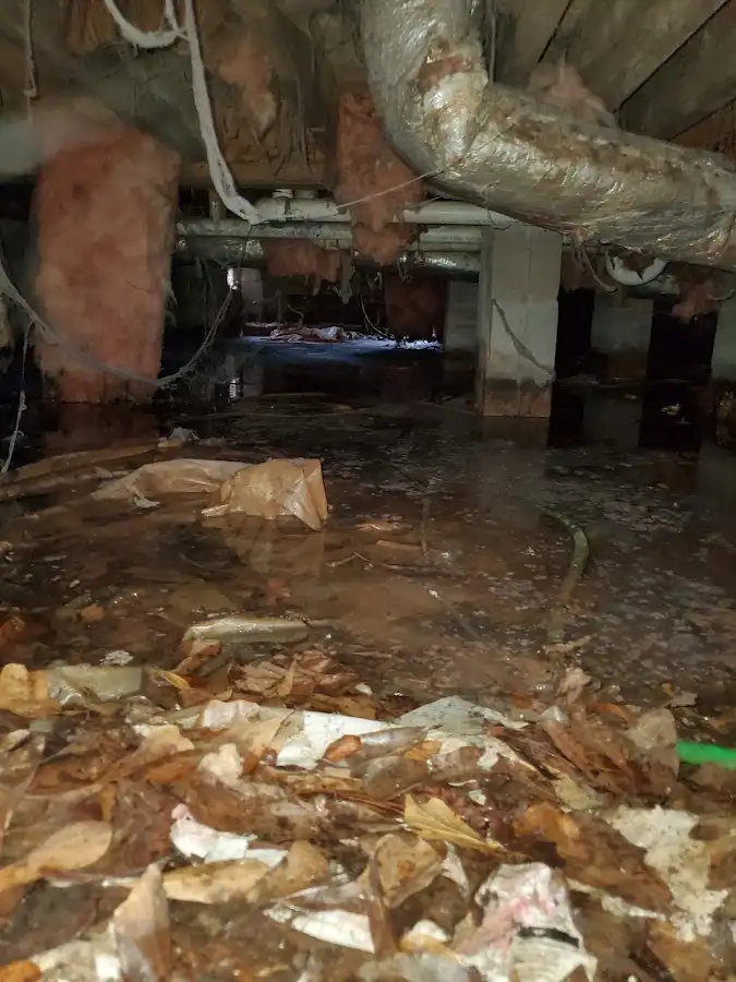 Crawl space flood assessment for Leak Detection & Repair in Bealeton