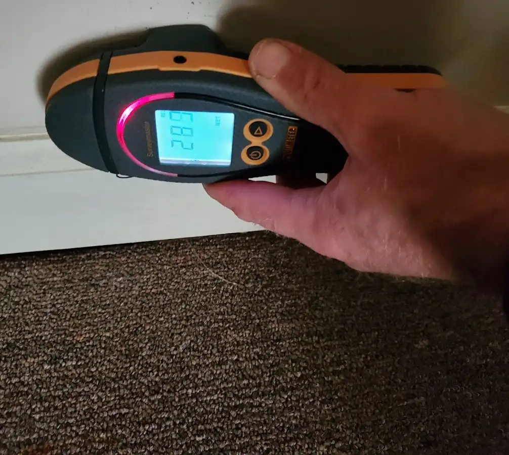 Moisture detection at baseboard during Mold Inspection & Testing in Bealeton